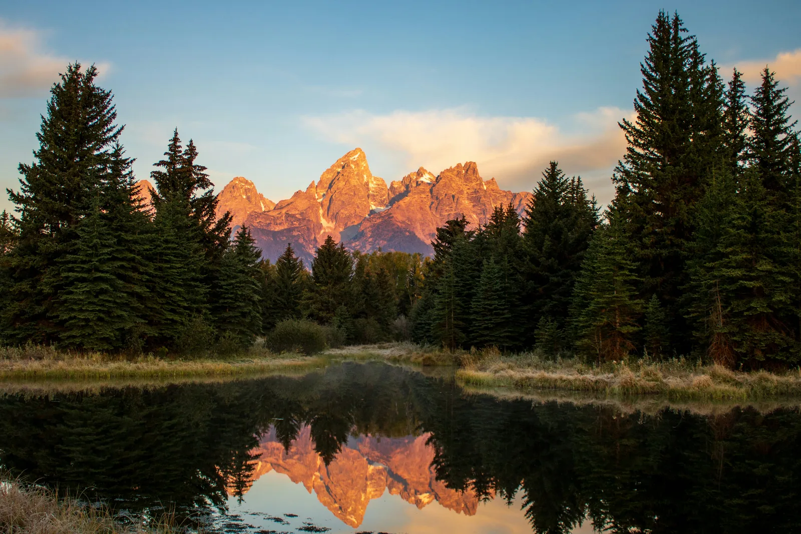 Sunrise light on the Grand Teton range reflected in a still pond ringed by pines