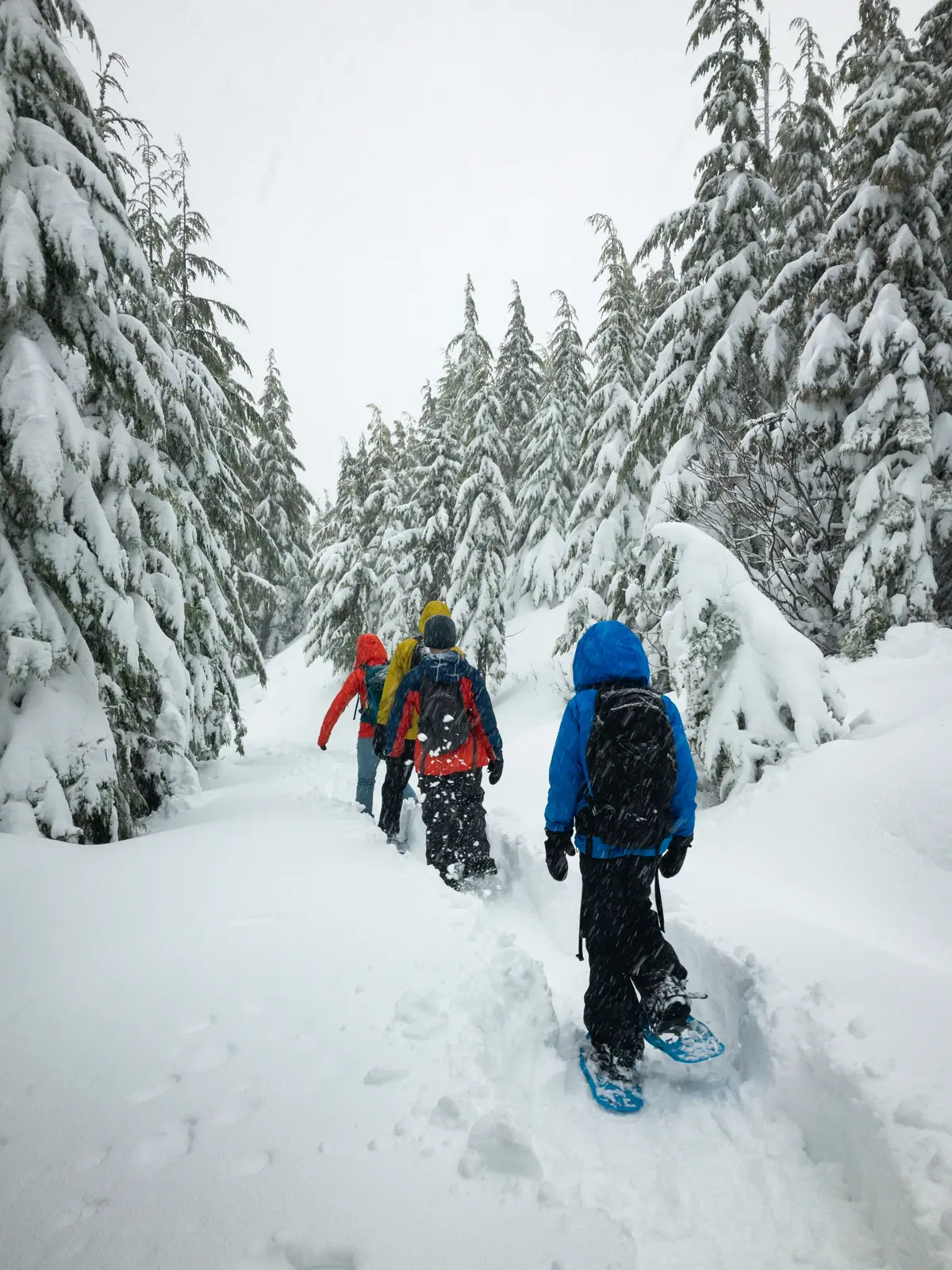 Jackson Hole winter group trip for solo travelers in Wyoming
